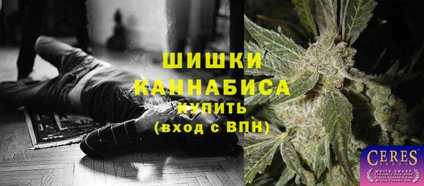 ECSTASY Майский